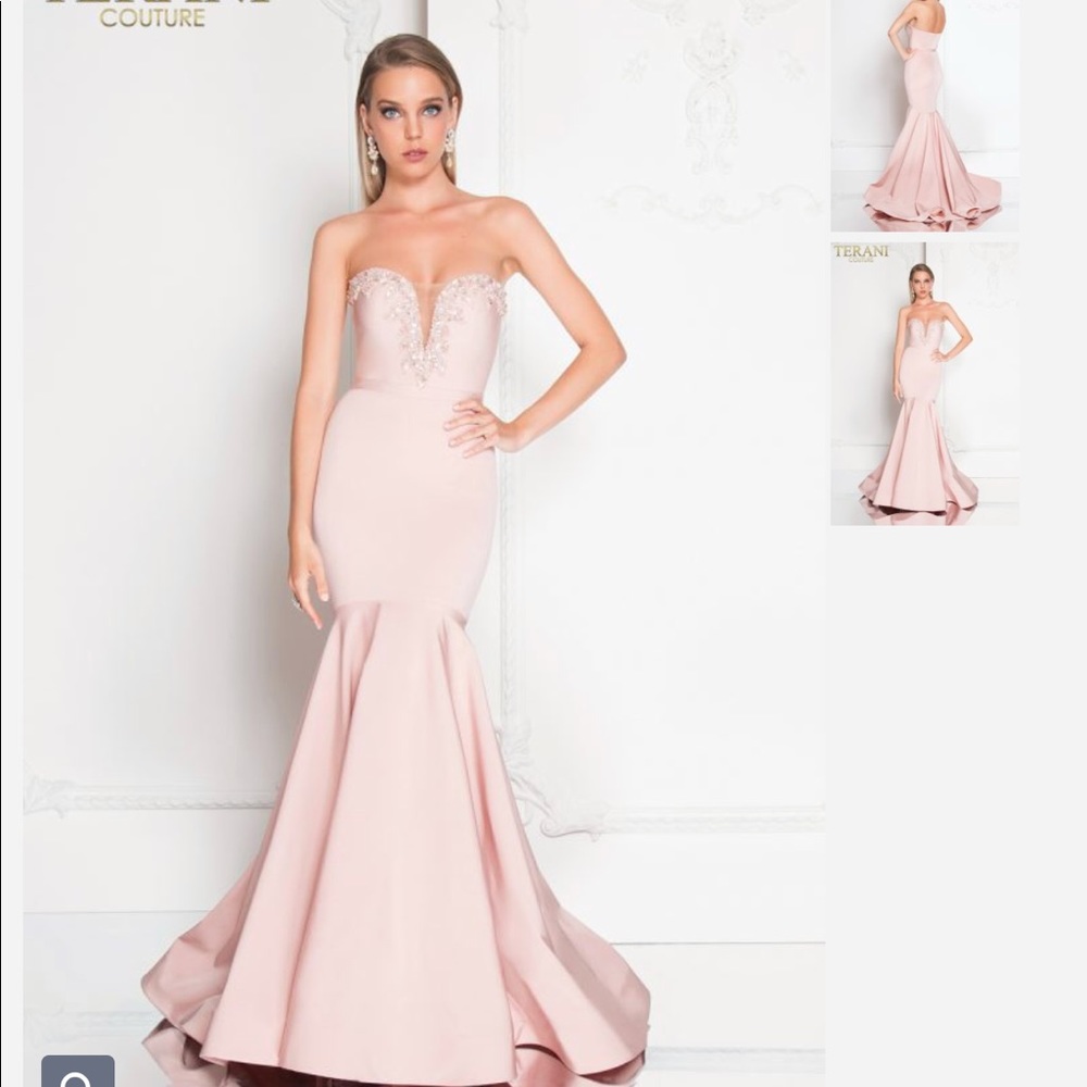Terani Blush Sweetheart Gown